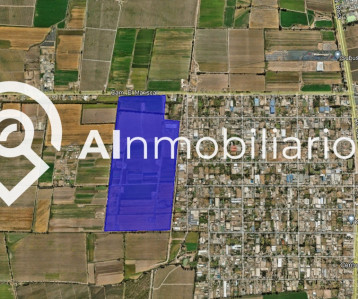 Imagen del detalle del terreno de la propiedad en venta en El Mariscal, San Bernardo. ¡Descubre todas sus posibilidades!