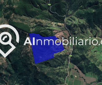 Imagen de la superficie de 72 hectáreas en el Predio Angostura en San Javier, una excelente oportunidad de inversión en el sector forestal.