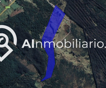 Imagen de la superficie del terreno en venta en Fundo Nahuelco, comuna de Maulli, Región de Coquimbo