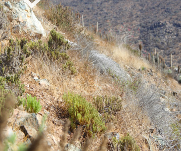 Venta de terreno con superficie impresionante captada en vista aérea en Cerro Grande, La Serena: El lugar perfecto para tu proyecto